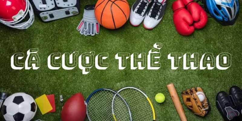 the-thao-1xbet-cong-ca-cuoc-the-thao-truc-tuyen-hap-dan