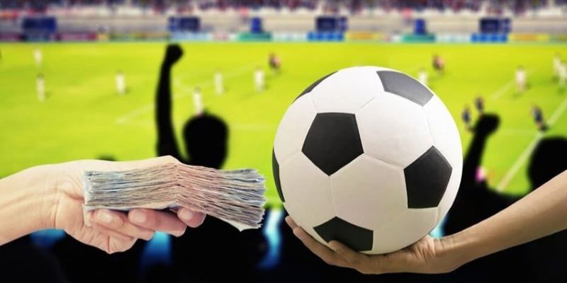 the-thao-1xbet