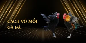 cach-vo-moi-ga-da-1