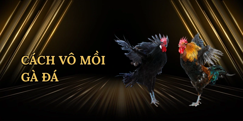 cach-vo-moi-ga-da-1