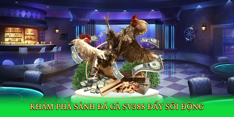 Khám phá sảnh đá gà sv388 đầy sôi động