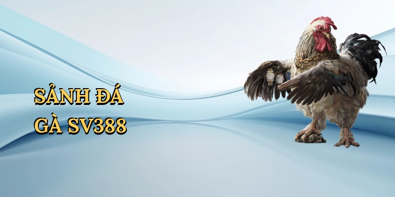 Sảnh đá gà sv388