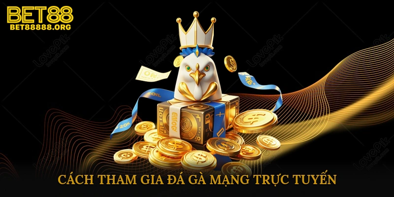 Cách tham gia đá gà mạng trực tuyến