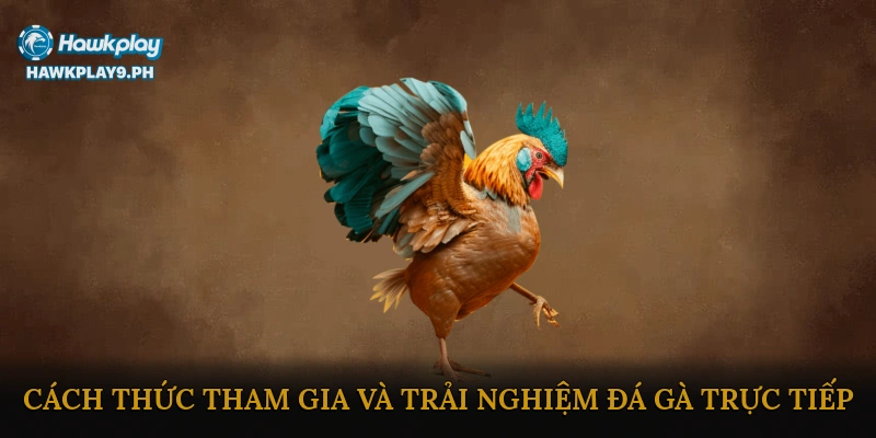 Cách thức tham gia và trải nghiệm đá gà trực tiếp