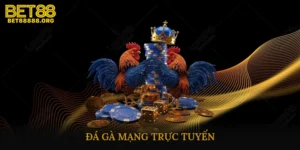 đá gà mạng trực tuyến