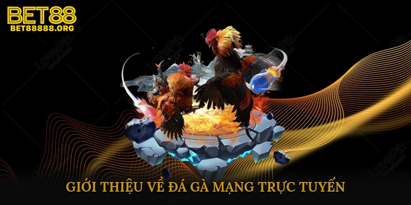 Giới thiệu về đá gà mạng trực tuyến