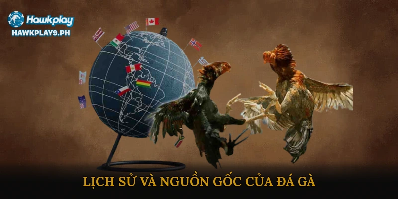 Lịch sử và nguồn gốc của đá gà