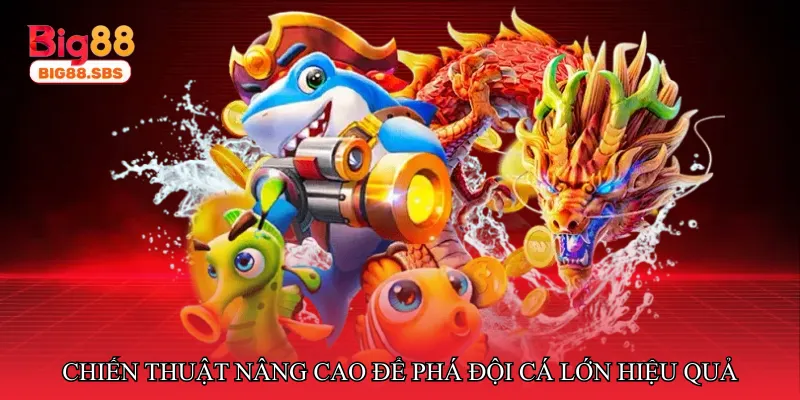 Chiến thuật nâng cao để phá đội cá lớn hiệu quả