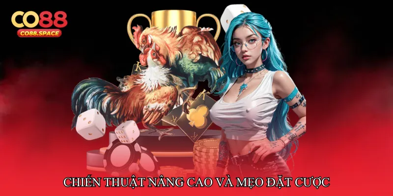 Chiến thuật nâng cao và mẹo đặt cược