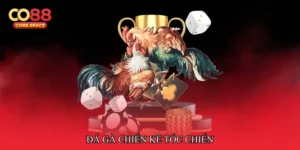 Đá gà chiến kê tốc chiến