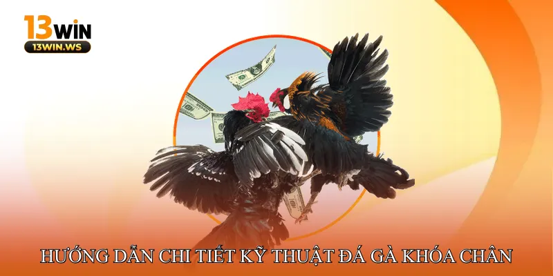 Hướng dẫn chi tiết kỹ thuật đá gà khóa chân