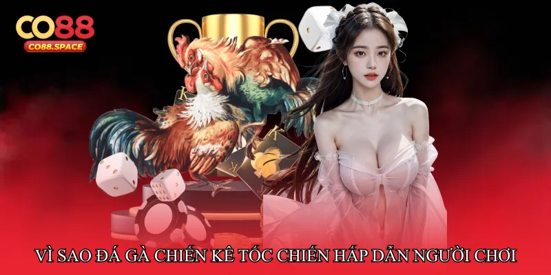Vì sao Đá gà chiến kê tốc chiến hấp dẫn người chơi