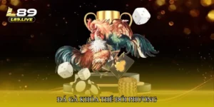 Đá gà khóa thế đối phương